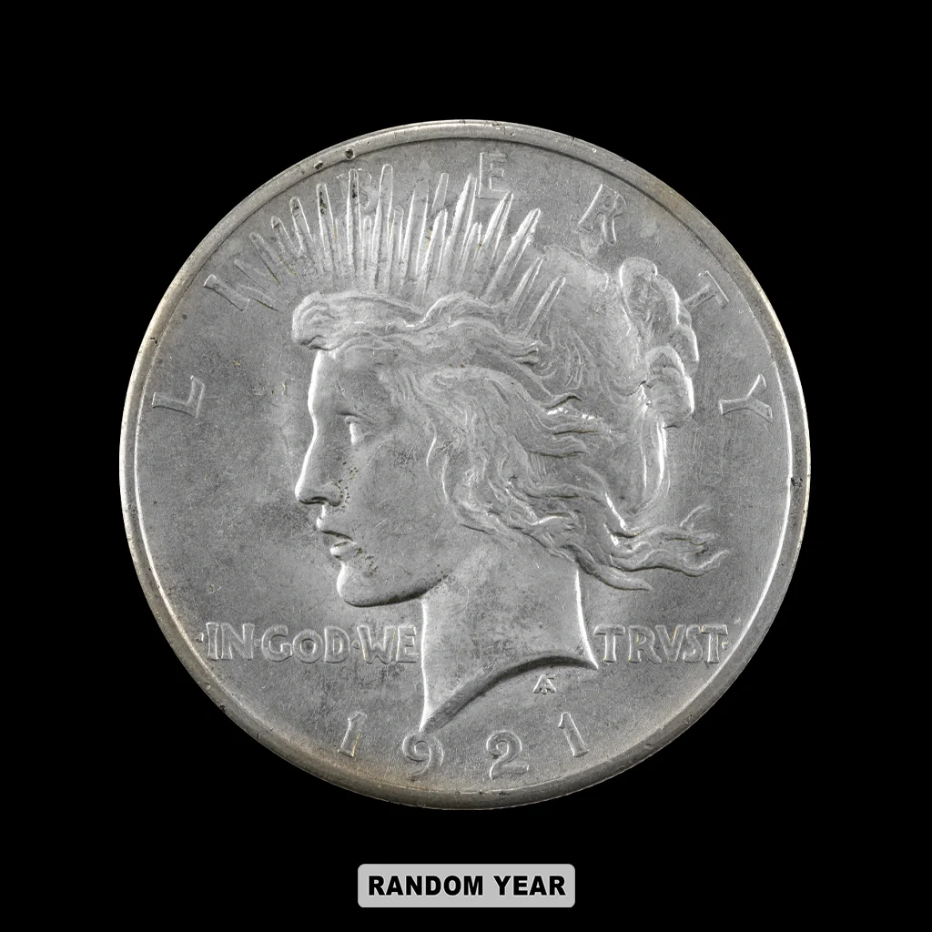 American Silver Peace Dollar Random Year